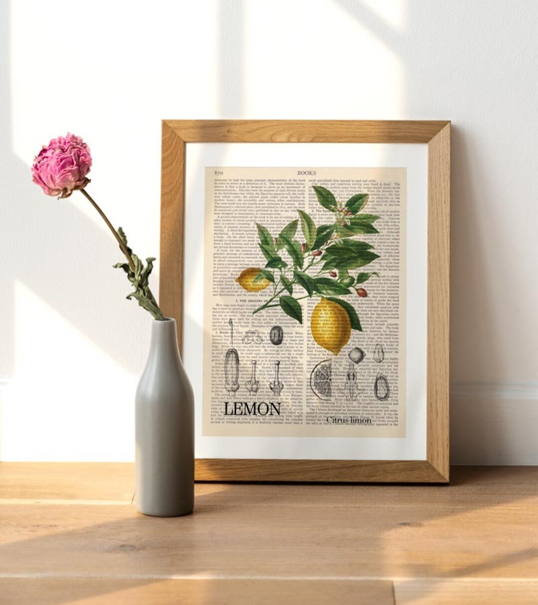Imprimé citron, Citrus Limon, illustration de fruits, art végétal, art ...
