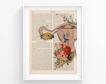 Lámina del útero, Arte médico, Ilustración del sistema reproductor, Regalo para ginecólogos, Ovarios, Regalo para embarazadas