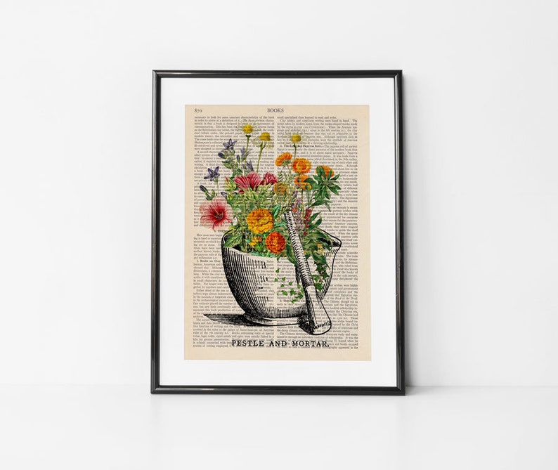 Pestle and Mortar Apothecary Art Medical Art Clinic Decor | Etsy