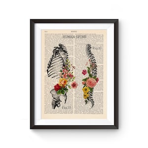 Spine Print, Anatomy book Art, Orthopedic Doctor Gift,Chiropractic Gift, Chiropractic Office Decor, Medical Art Print 206