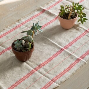 May include: Two potted succulents on a white table runner with red stripes. The succulents are in terracotta pots.