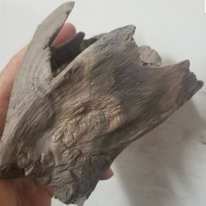 May include: A piece of driftwood with a rough, weathered texture. The wood is a mix of gray and brown tones, with visible cracks and imperfections. The shape is irregular, with jagged edges and a natural, organic form.