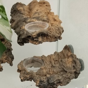 brown / tan Magnetic natural looking wood feeding ledge- Faux cork bark, fits 1/2oz, 3/4oz and 1oz cups. Listing is for 1 ledge only