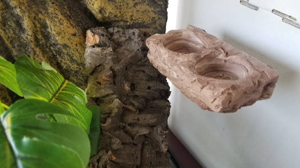Natural Magnetic feeding ledge two .5oz cups Brownish/stone