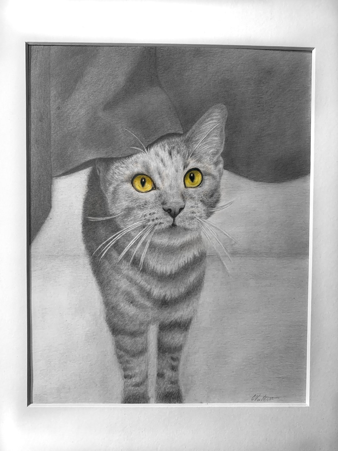 Detailed Custom Pet Portrait Drawing Special Gift for Animal Lovers Dog, Cat, Bunny, Puppy, or