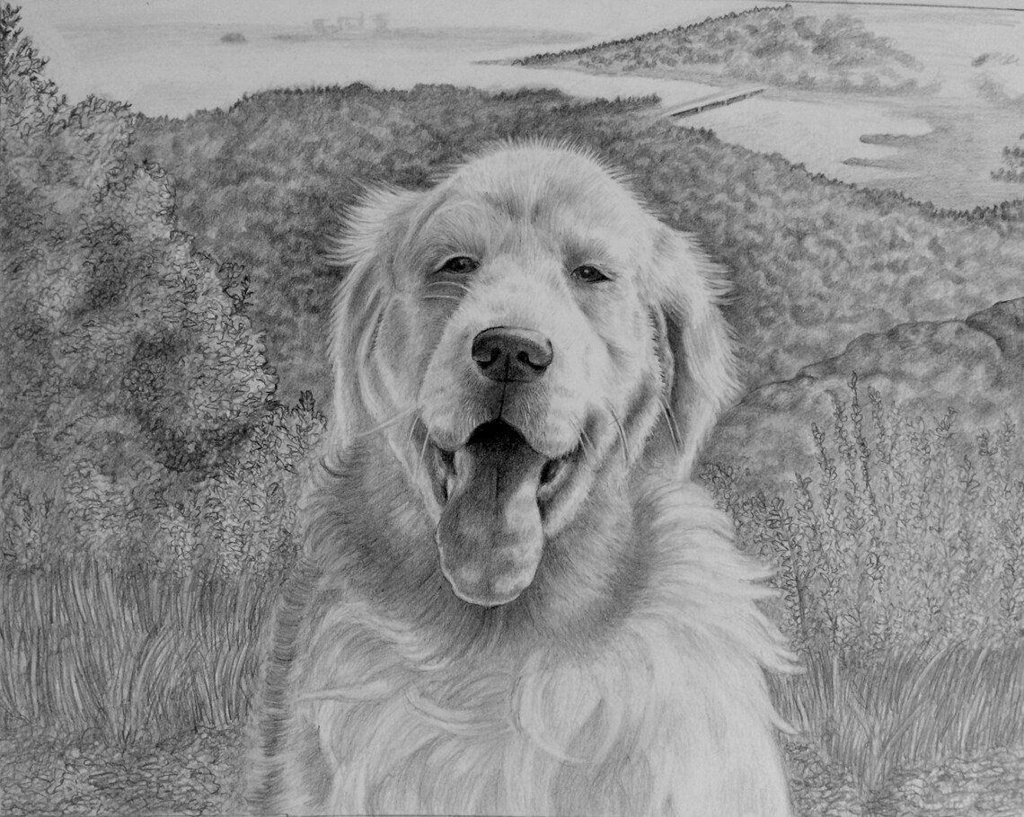 Detailed Custom Pet Portrait Drawing Special Gift for Animal Lovers Dog, Cat, Bunny, Puppy, or