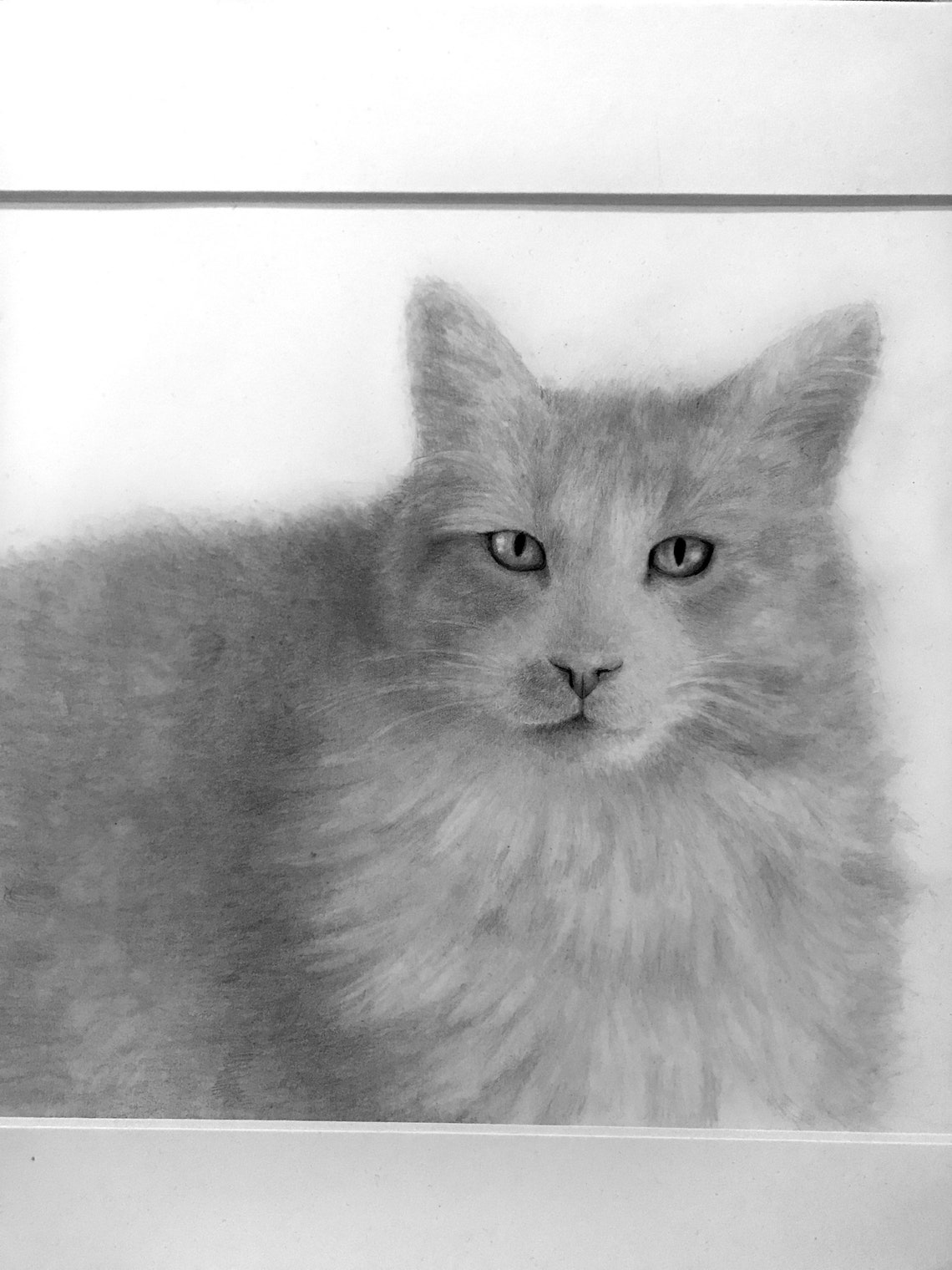 Detailed Custom Pet Portrait Drawing Special Gift for Animal Lovers Dog, Cat, Bunny, Puppy, or
