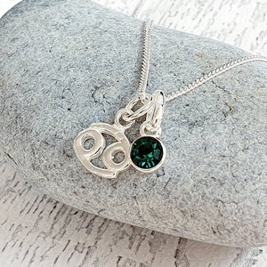 Zodiac Necklace with Optional Crystal Birthstone 925 Sterling Silver