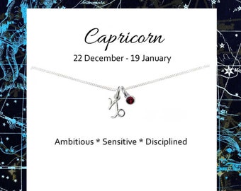 Capricorn Zodiac Birthstone Necklace 925 Sterling Silver Personalised Birthday Gift for Girl's Gift for Women
