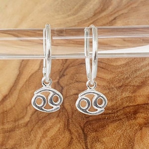Zodiac Hoop Earrings 15mm 925 Sterling Silver