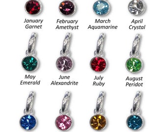 Sterling Silver Swarovski Birthstone Pendant Charm