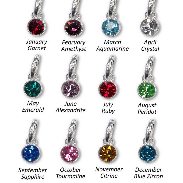 Sterling Silver Swarovski Birthstone Pendant Charm