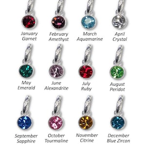 May include: Twelve silver charms with different colored gemstones, each representing a month of the year. The charms are labeled with the month and gemstone name.