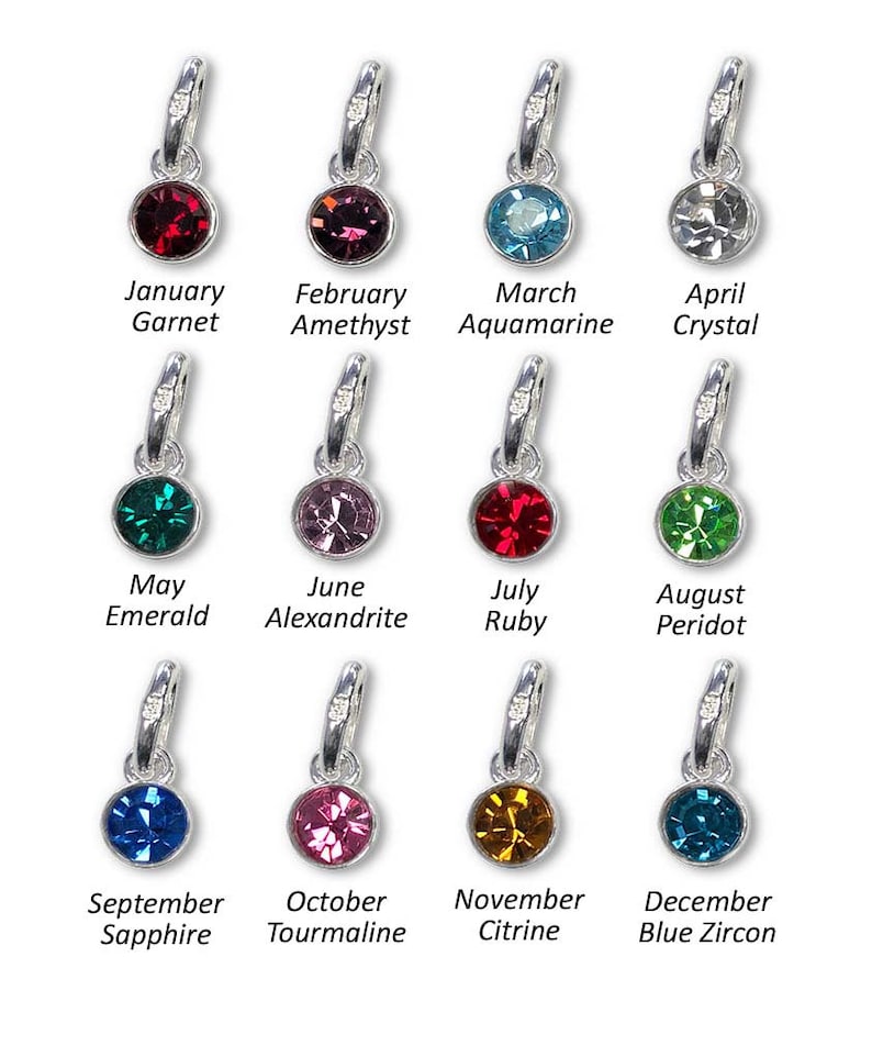 May include: Twelve silver charms with different colored gemstones, each representing a month of the year. The charms are labeled with the month and gemstone name.