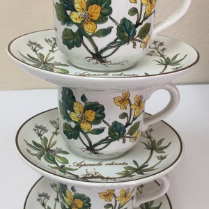 Villeroy and Boch Botanica (3) Demitasse Cups & Saucer Sets