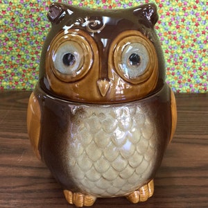 Cute OWL Canister/Mini Cookie Jar from Gibson Home