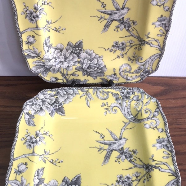 Adelaide Yellow (4) DINNER PLATES By 222 FIFTH