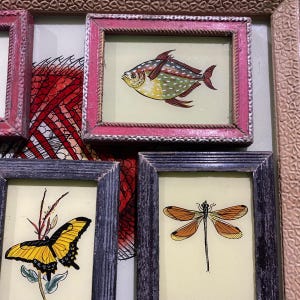 May include: A collection of framed vintage illustrations featuring a fish, a butterfly, and a dragonfly. The frames are made of wood and have a distressed finish.