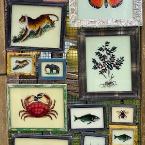 May include: A collection of framed artwork featuring various animal and plant illustrations. The artwork includes a tiger, an elephant, a crab, a fish, a bee, and a plant with red berries. The frames are all different colours and styles.