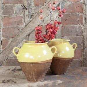 May include: Two yellow and brown ceramic pots with handles. The pots are sitting on a wooden surface. A sprig of dried flowers is in the background.