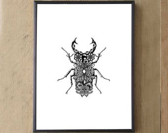 Original Art, Stag Beetle, Butterfly Wall Art, Print, Art Prints Wall Art, Home Decor, Wall Decor, Prints Wall Art, Gifts, Farmhouse Decor