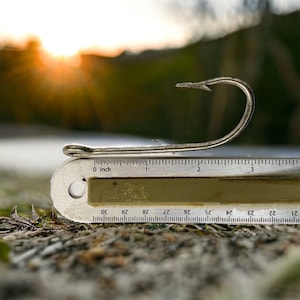 Pode incluir: Um anzol de pesca prateado medindo 5 cm de comprimento, colocado em uma régua com marcas em polegadas e centímetros.