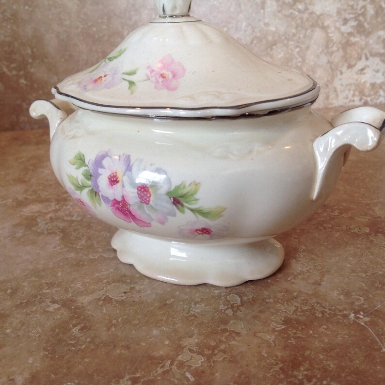Homer Laughlin china pieces
