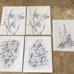 Schwarze und weiße florale Blankokarten, kostenloser Versand