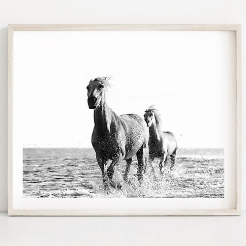 Horse Print Black and White Horse Prints Horses Wild Etsy