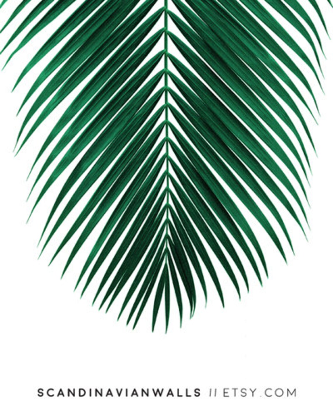 Palm leaf print palm print botanical print palm tree leaf | Etsy