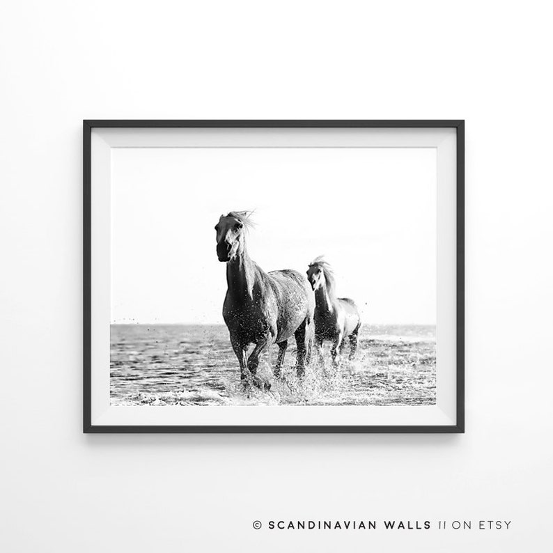 Horse Wall Art Horse Print Black and White Horse Print Etsy