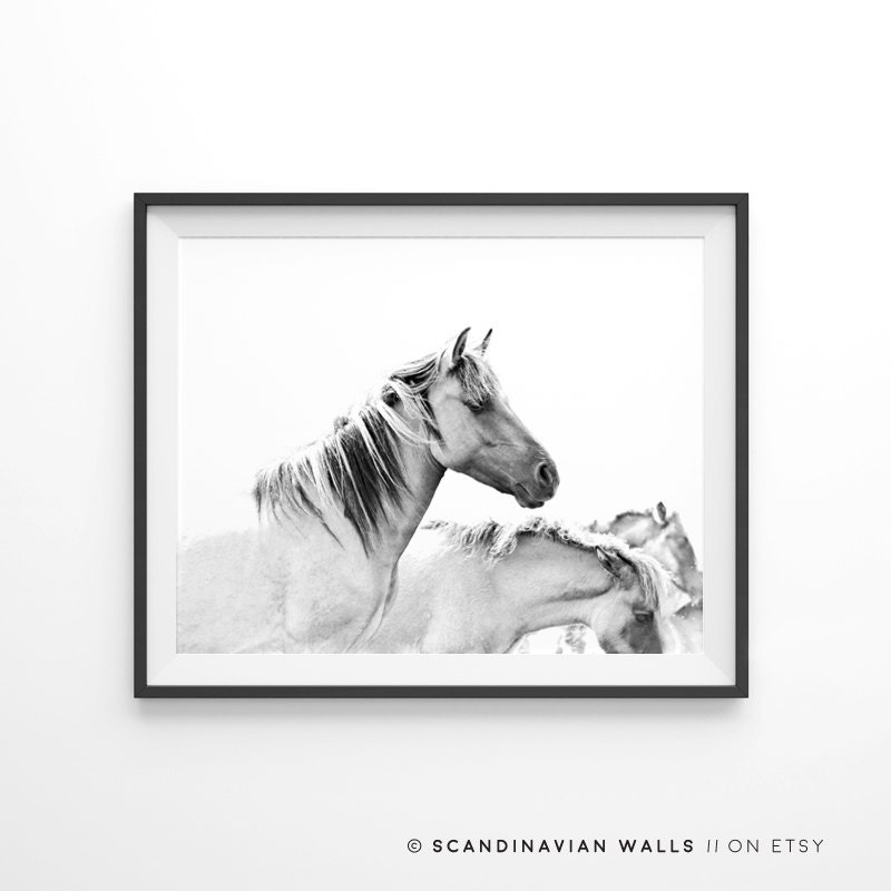 Horse Print Black and White Horse Prints Horses Wild Etsy