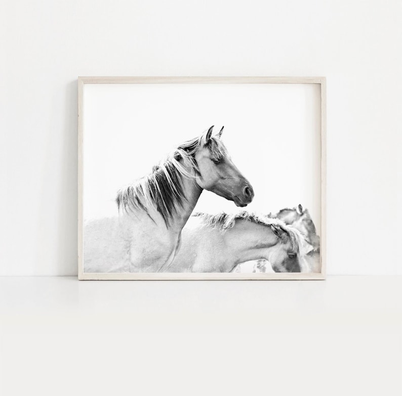 Horse Print Black and White Horse Prints Horses Wild Etsy