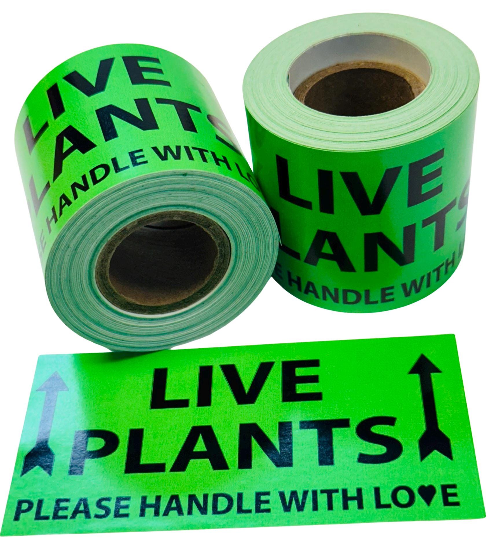 500 Grüne Aufkleber „LIVE PLANT – HANDLE WITH CARE“ (144 X 50 Mm) Auf Rolle