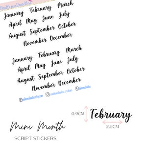 Op de afbeelding: Een set van 12 mini-maand script stickers in zwarte inkt op een witte achtergrond. De stickers zijn 0,9 cm hoog en 2,5 cm breed. De maanden zijn januari, februari, maart, april, mei, juni, juli, augustus, september, oktober, november en december.