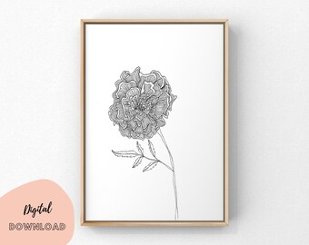 Ink Drawing Marigold Etsy