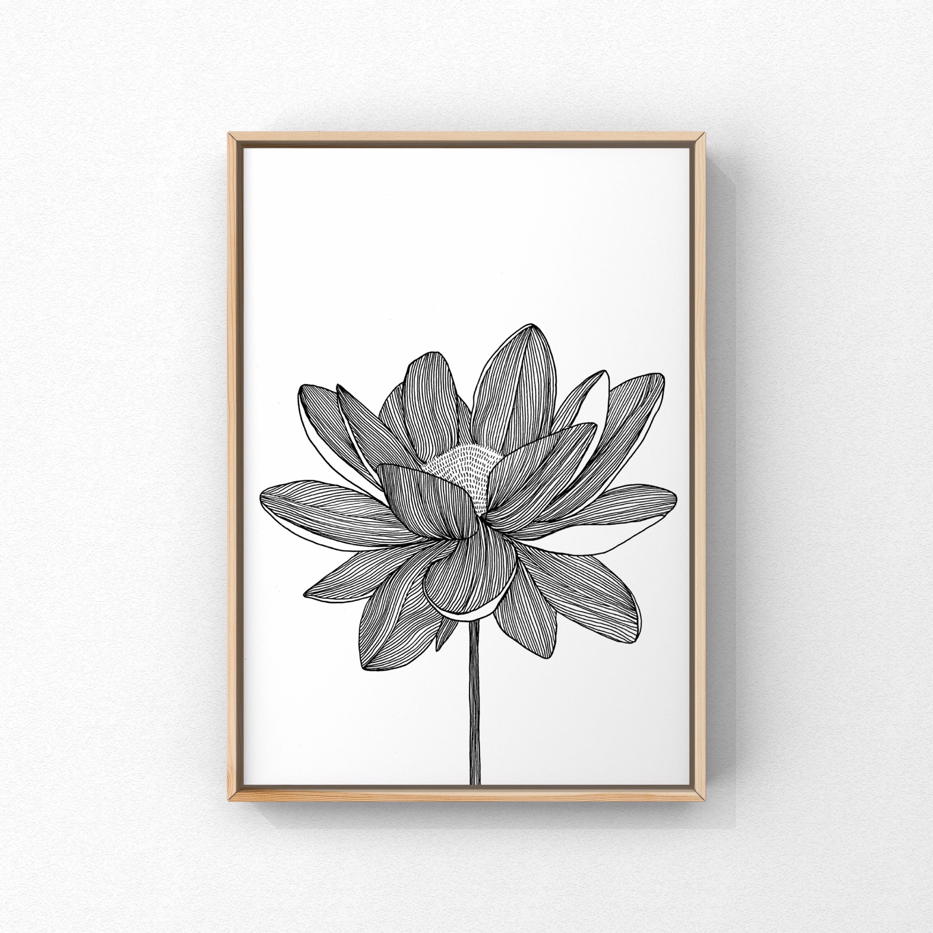 Printable Lotus Flower Floral Drawing Black & White - Etsy