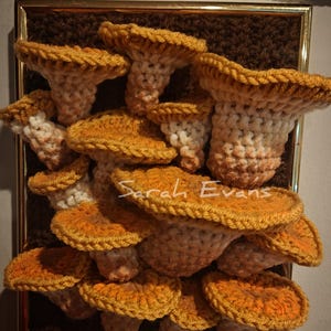 May include: A framed crocheted artwork featuring a cluster of orange and white mushrooms. The artwork is signed "Sarah Evans" in the lower center.
