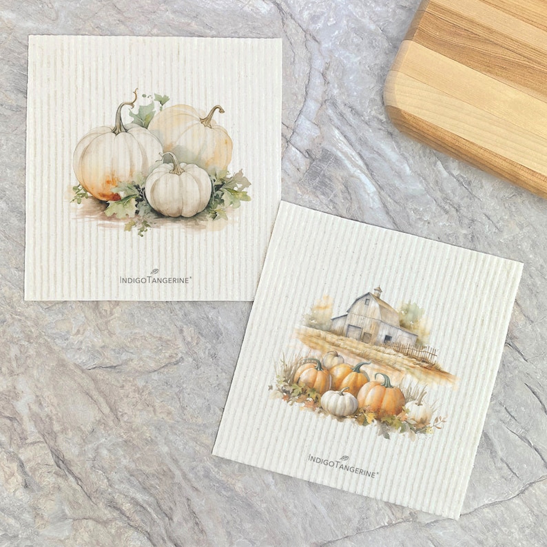 Indigo Tangerine Dish Cloth