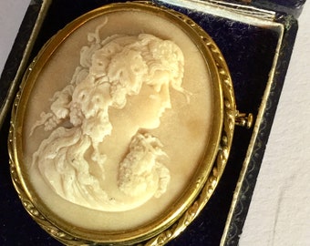 Antiques Victorian Stone Cameo Brooch