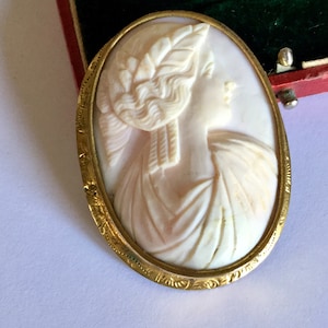 Antiques Victorian Mourning Pinchbeck Frame Coral Cameo Brooch