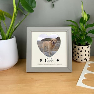 May include: A grey picture frame with a white mount and a heart-shaped cutout. A photo of a dog is in the cutout. The text "Cadi" and "Forever loved, never forgotten" is printed below the photo.