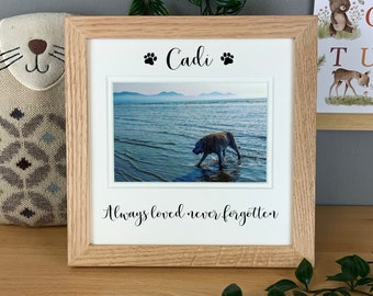 Personalised family pet frame, pet memorial keepsake, animal lovers gift, cat or dog owners gift.