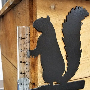 Squirrel Rain Gauge Metal Art Garden Yard Fun