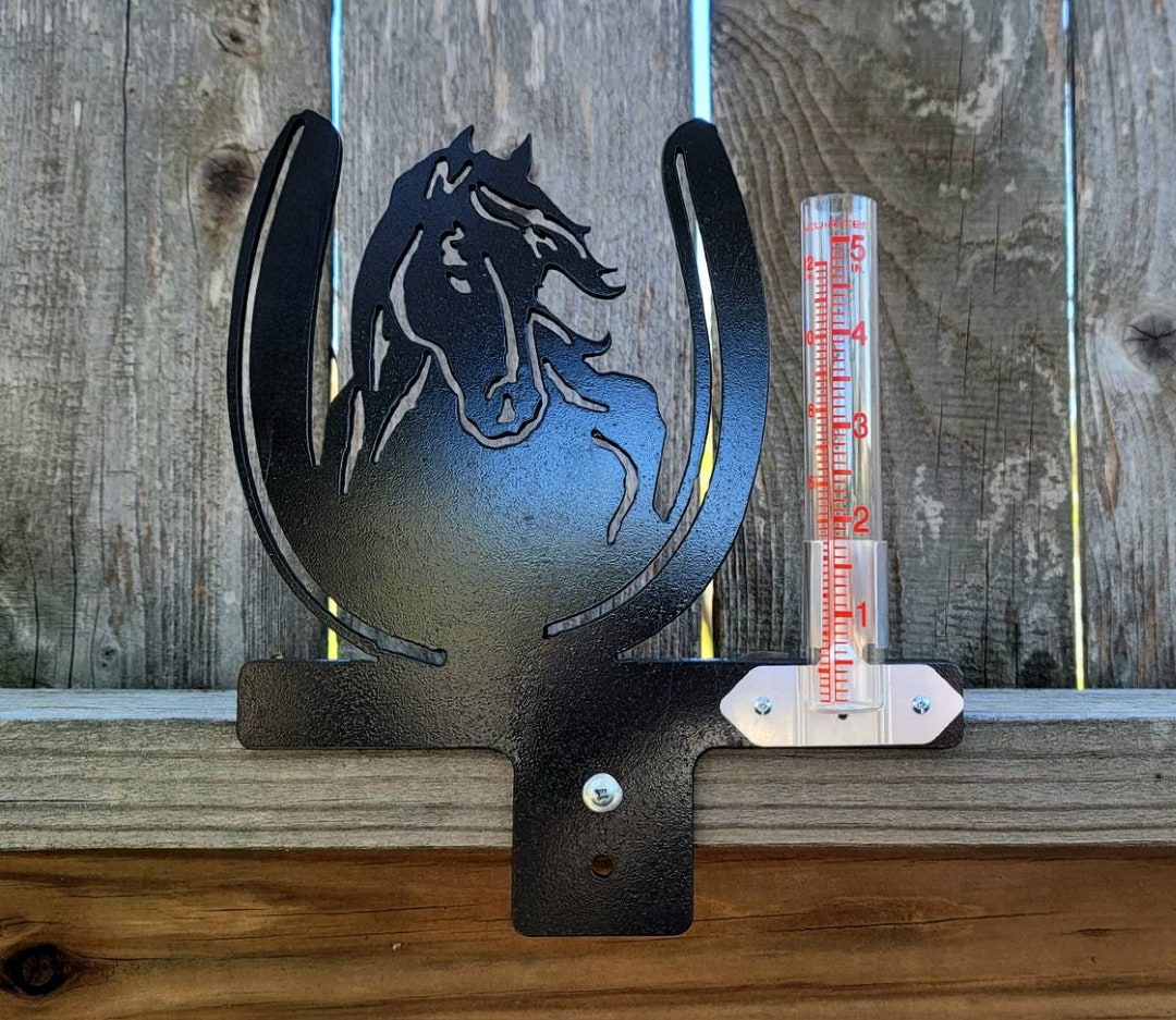 Lucky Horseshoe Rain Gauge Etsy