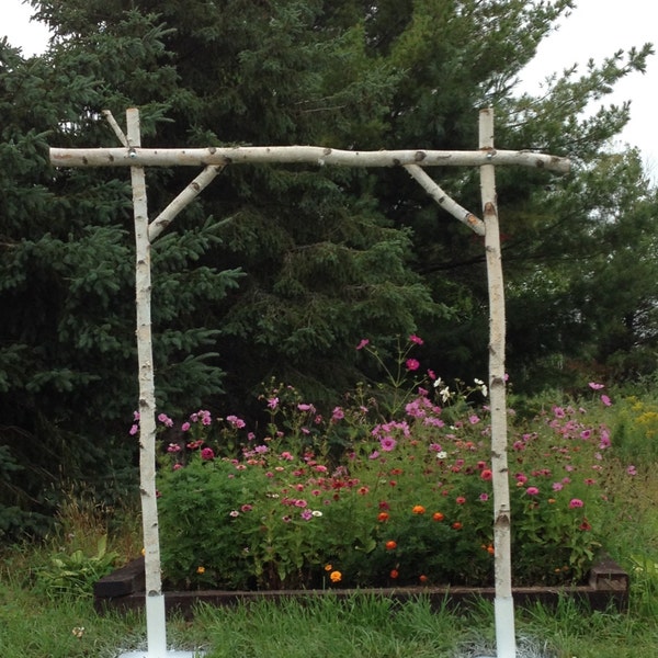 5 Piece Birch Wedding Arch