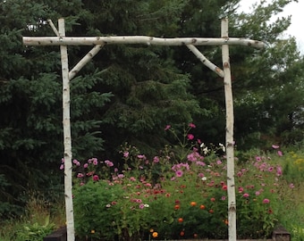 5 Piece Birch Wedding Arch