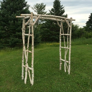 Branched White Birch Wedding Arch