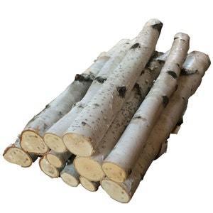 Birch Bundle of Logs (10) Free Shipping