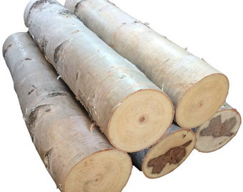 Five 24 Inch Long White Birch Logs - Free Shipping